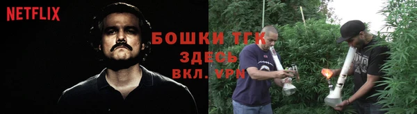 гашик Балахна