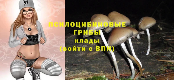 экстази Белокуриха