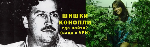 экстази Белокуриха